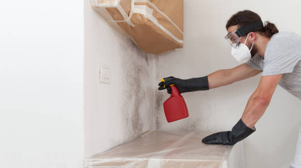 Professional Mold Remediation technician working in Shelbyville, MI